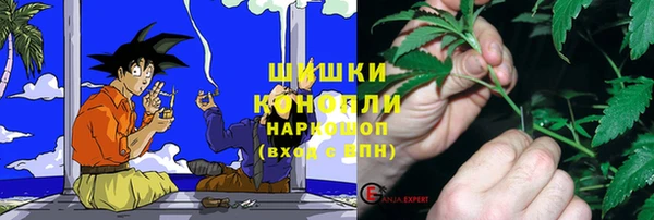 меф Снежинск