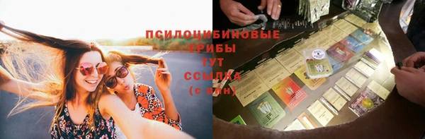 меф Снежинск