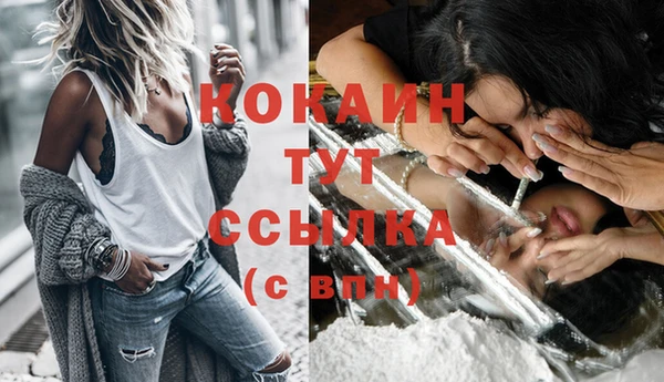 гидропоника Няндома