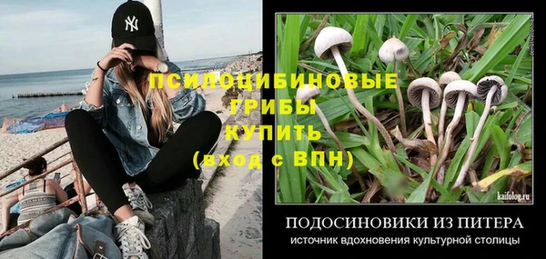 гидропоника Няндома
