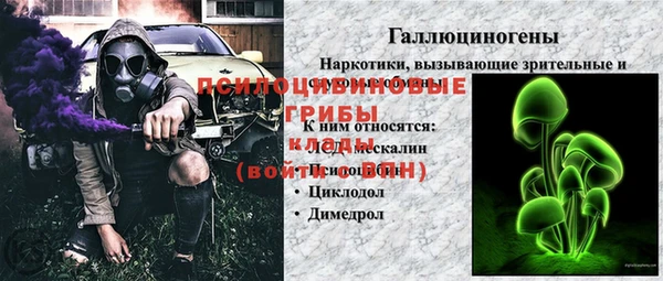 гидропоника Няндома