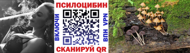Галлюциногенные грибы Psilocybine cubensis  ссылка на мегу зеркало  Алагир 