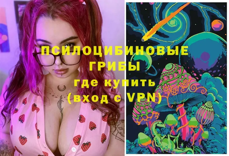наркотики  Алагир  Псилоцибиновые грибы прущие грибы 